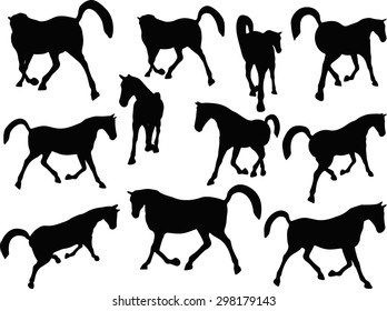 Vector Image - horse silhouette in prancing walk pose isolated on white background 
