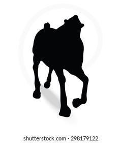 Vector Image - horse silhouette in running pose isolated on white background 