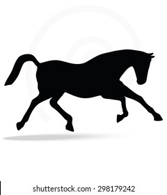 Vector Image - horse silhouette in running pose isolated on white background 