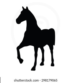 Vector Image - horse silhouette in show horse pose isolated on white background 