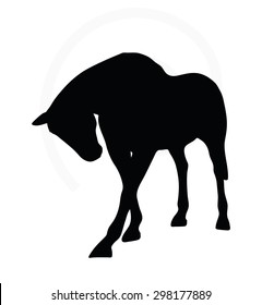Vector Image - horse silhouette in standing around pose isolated on white background 