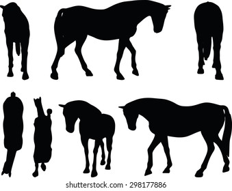 Vector Image - horse silhouette in walking head down pose isolated on white background 