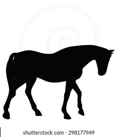 Vector Image - horse silhouette in walking head down pose isolated on white background 