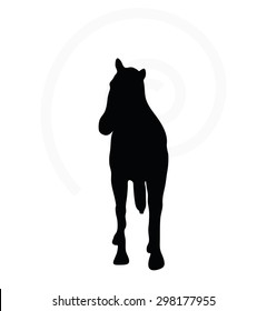 Vector Image - horse silhouette in walking head up pose isolated on white background 