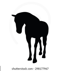 Vector Image - horse silhouette in walking head down pose isolated on white background 