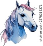 Vector image of a horse's head. Watercolor drawing isolated on white background. Horse in light bluish shades. Horse silhouette