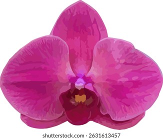vector image of a hot pink flower on a white background