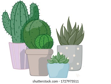Vector image of house plants in pots. Decorative flowers for the workplace. Succulents and cacti.