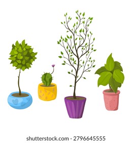 Vector image of houseplants in pots on a white background, a green tree in a pot, and a houseplant in a pot. Cute houseplants in pots drawn in cartoon style, vector image of a houseplant, and a green houseplant on a white background.