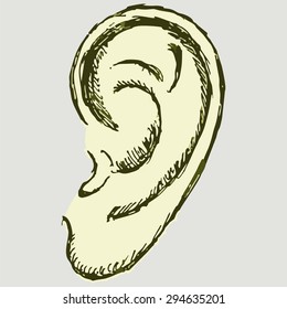 Vector image of the human ear