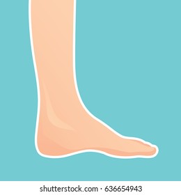 Vector image of a human leg. The Shin and the foot. Treatment of flatfoot. On light-blue background.