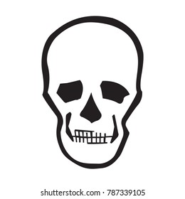 Vector image of a human skull