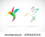 Vector image of an hummingbird design on white background. Wild Animals, Vector illustration.