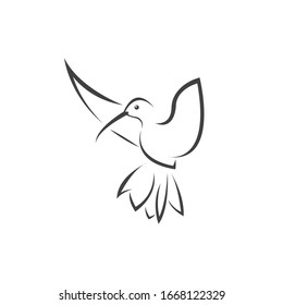 Vector image hummingbird design on white background. icon symbol. Illustrator. Black and White