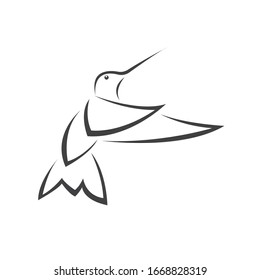 Vector image hummingbird design on white background. icon symbol. Illustrator. Black and White