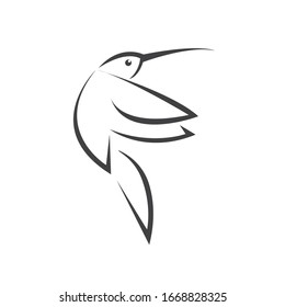 Vector image hummingbird design on white background. icon symbol. Illustrator. Black and White