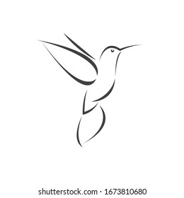 Vector image hummingbird design on white background. icon symbol. Illustrator. Black and White