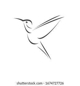 Diseño de colibrí de imagen vectorial sobre fondo blanco. símbolo de icono. Ilustrador. Blanco y negro