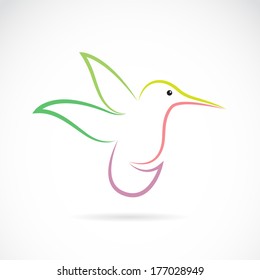 Vector image of an hummingbird design on white background