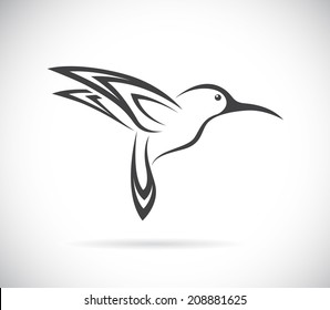 Vector image of an hummingbird design on white background