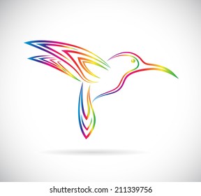 Vector image of an hummingbird design on white background