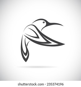 Vector image of an hummingbird design on white background