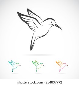 Vector image of an hummingbird design on white background