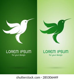 Vector image of an hummingbird design on dark green background and green background, Logo, Symbol