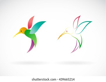 Vector image of an hummingbird design on white background. Wild Animals, Vector illustration.