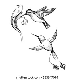 Vector image of an hummingbird design on white background .