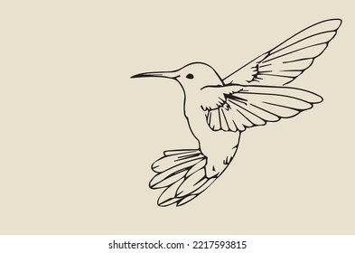 Vector image - hummingbird hovering in the air