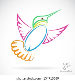 Vector image of an hummingbird , illustration - vector