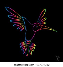 Vector image of an hummingbird on black background