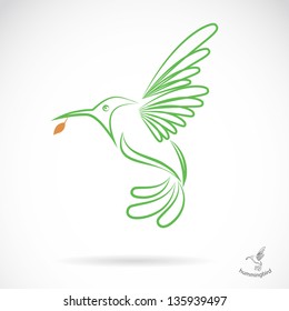 Vector image of an hummingbird on white background