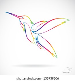 Vector image of an hummingbird on white background