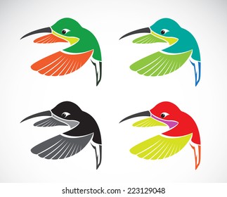 Vector image of an hummingbird on white background