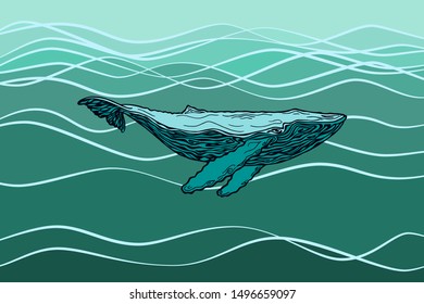 Vector image of humpback whale floating in water. A large blue whale against the background of large blue waves. The detailed image is drawn by a pencil.