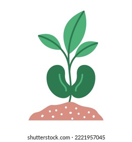 vector image icon of earth with seeds coming out a planted bush that grows with white background