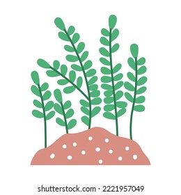 vector image icon of land with a planted bush growing with white background