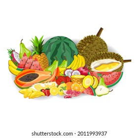 Vector image Illustration of a collection of fruits