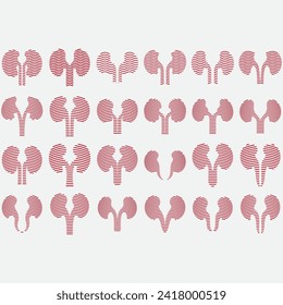vector image illustration of a collection of kidney logos