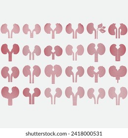 vector image illustration of a collection of kidney logos
