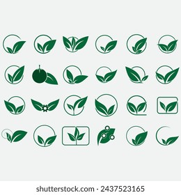 vector image illustration of a collection of leaf logos