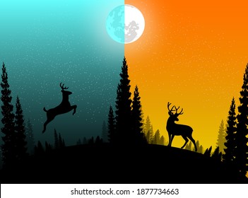 vector image illustration of deer at night and in the daytime in the forest