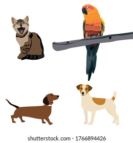 vector image. the illustration depicts four cute animals that are sitting in comfortable poses. Animals are different and with different colors