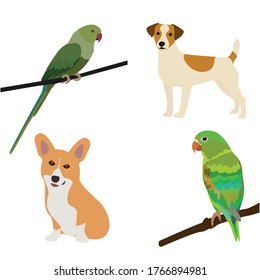vector image. the illustration depicts four cute animals that are sitting in comfortable poses. Animals are different and with different colors