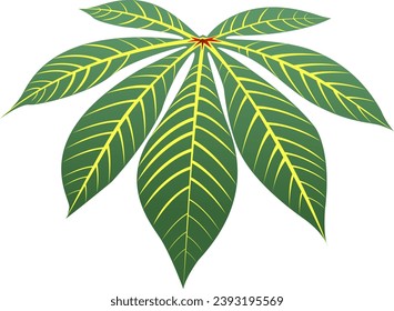 Vector image illustration of green cassava leaf