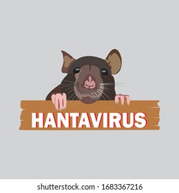 Vector image of an illustration of the hanta virus