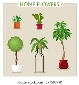 Vector image, illustration. Indoor plants in pots. Collection flowers in flat style