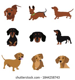Vector image. The illustration shows different dogs in different breeds are hand-drawn. Suitable for coloring pages, pet shop or pet lovers.